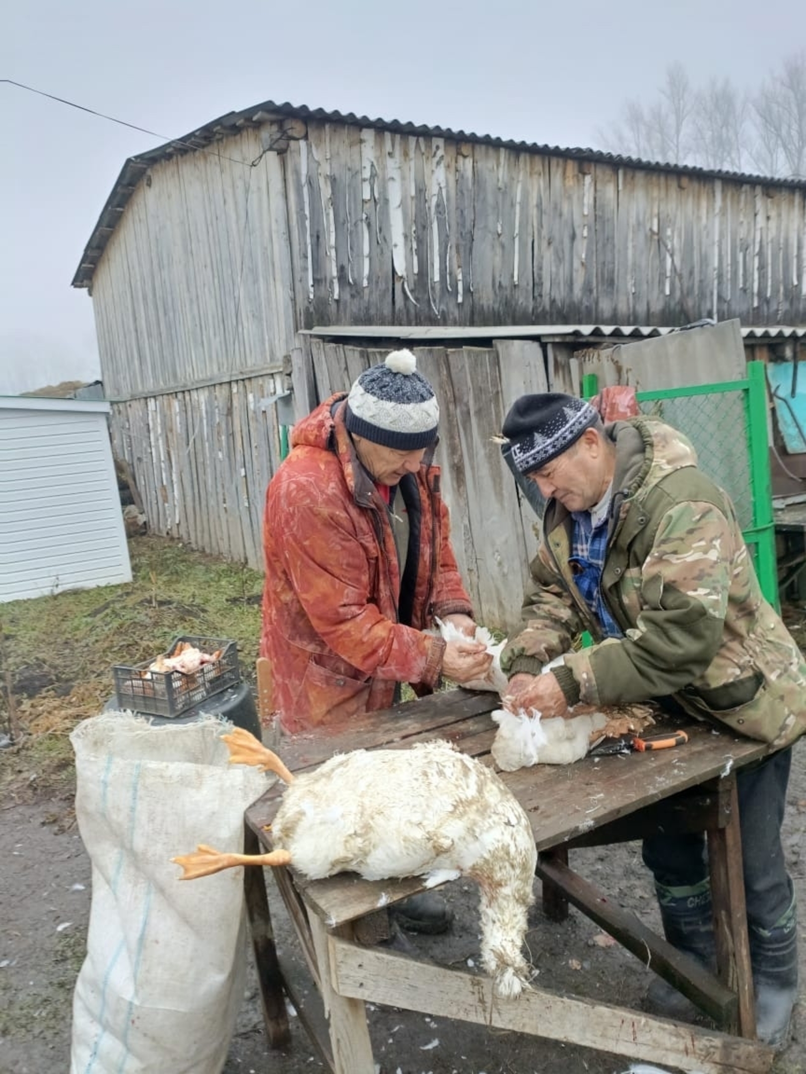 Ауылда йәшәү арзан