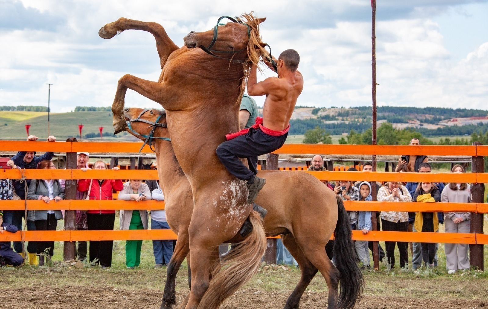 «Башҡорт аты» фестиваленә 17 дәүләт вәкилдәре килә