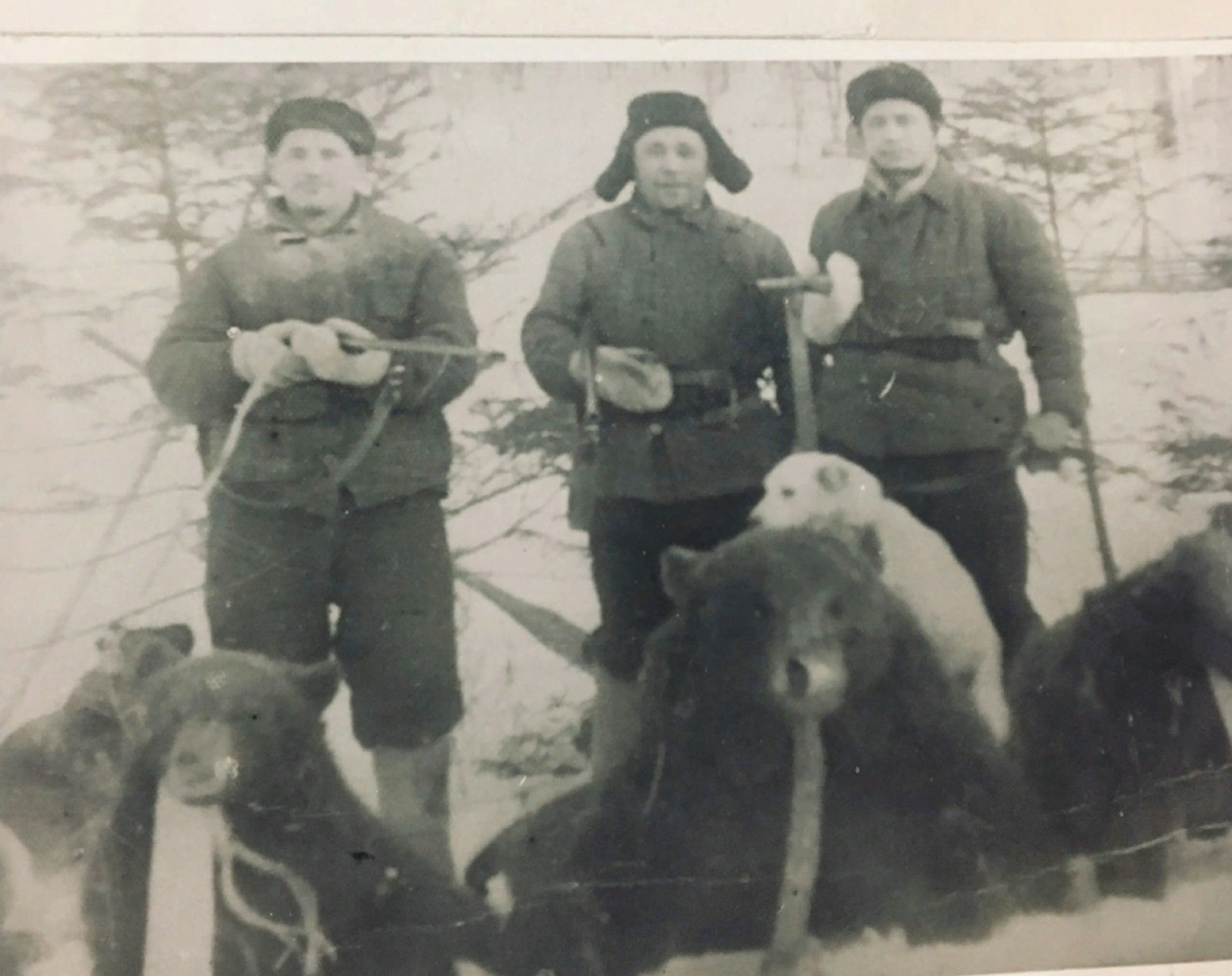 Бер фото тарихы