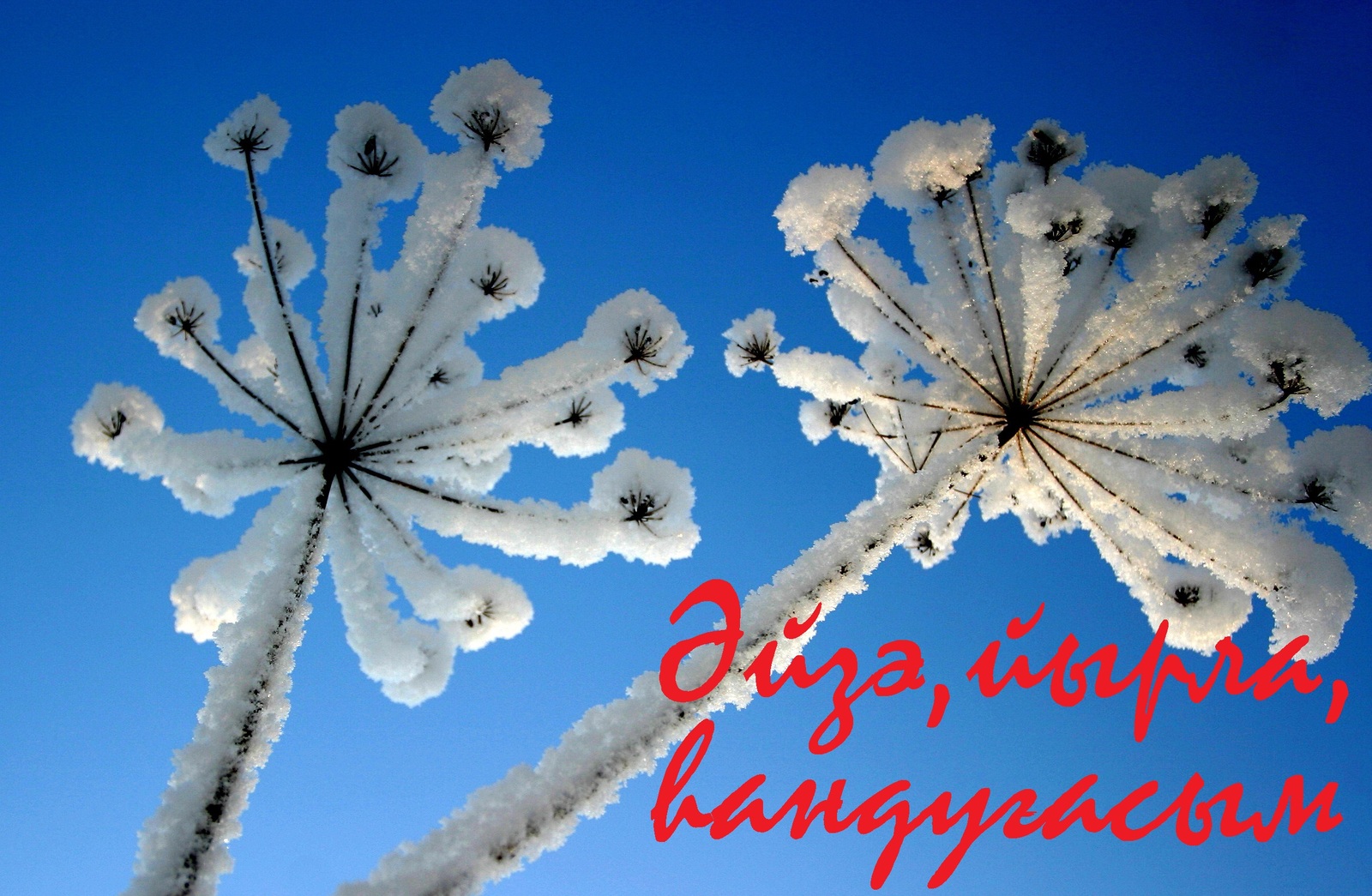 Тылсымлы һүҙҙәрҙе йәлләмәгеҙ