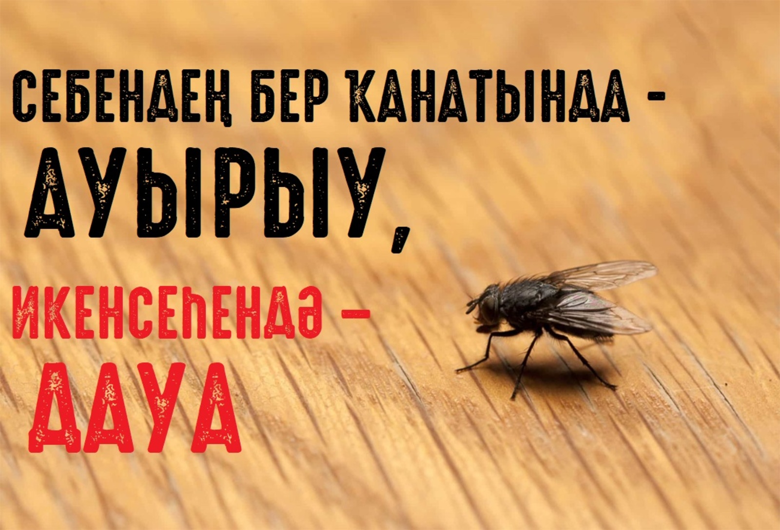 СЕБЕНДЕҢ БЕР ҠАНАТЫНДА - АУЫРЫУ, ИКЕНСЕҺЕНДӘ – ДАУА
