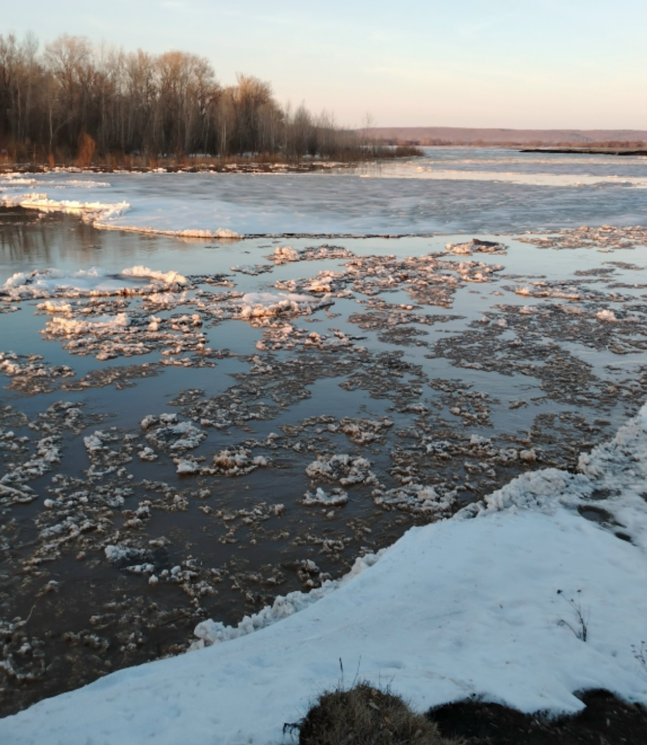 Боҙ оҙатыу йолаһы