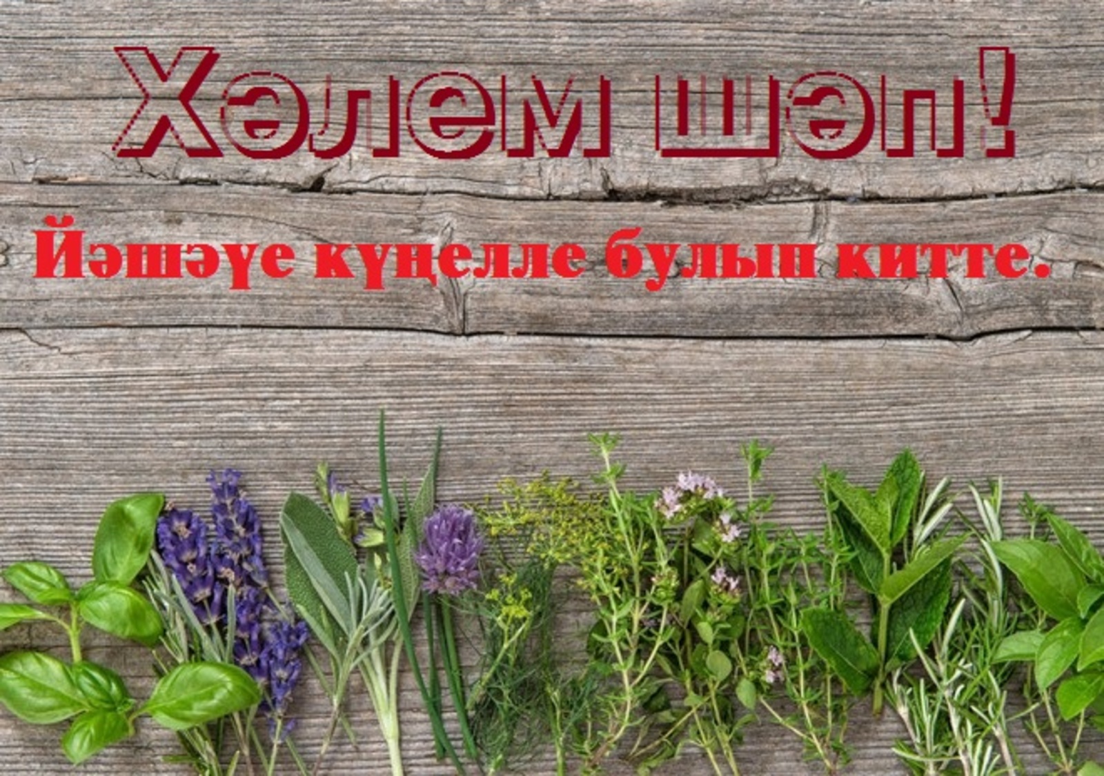 "Ойоғомдо хәҙер әсәйем кейҙермәй..."