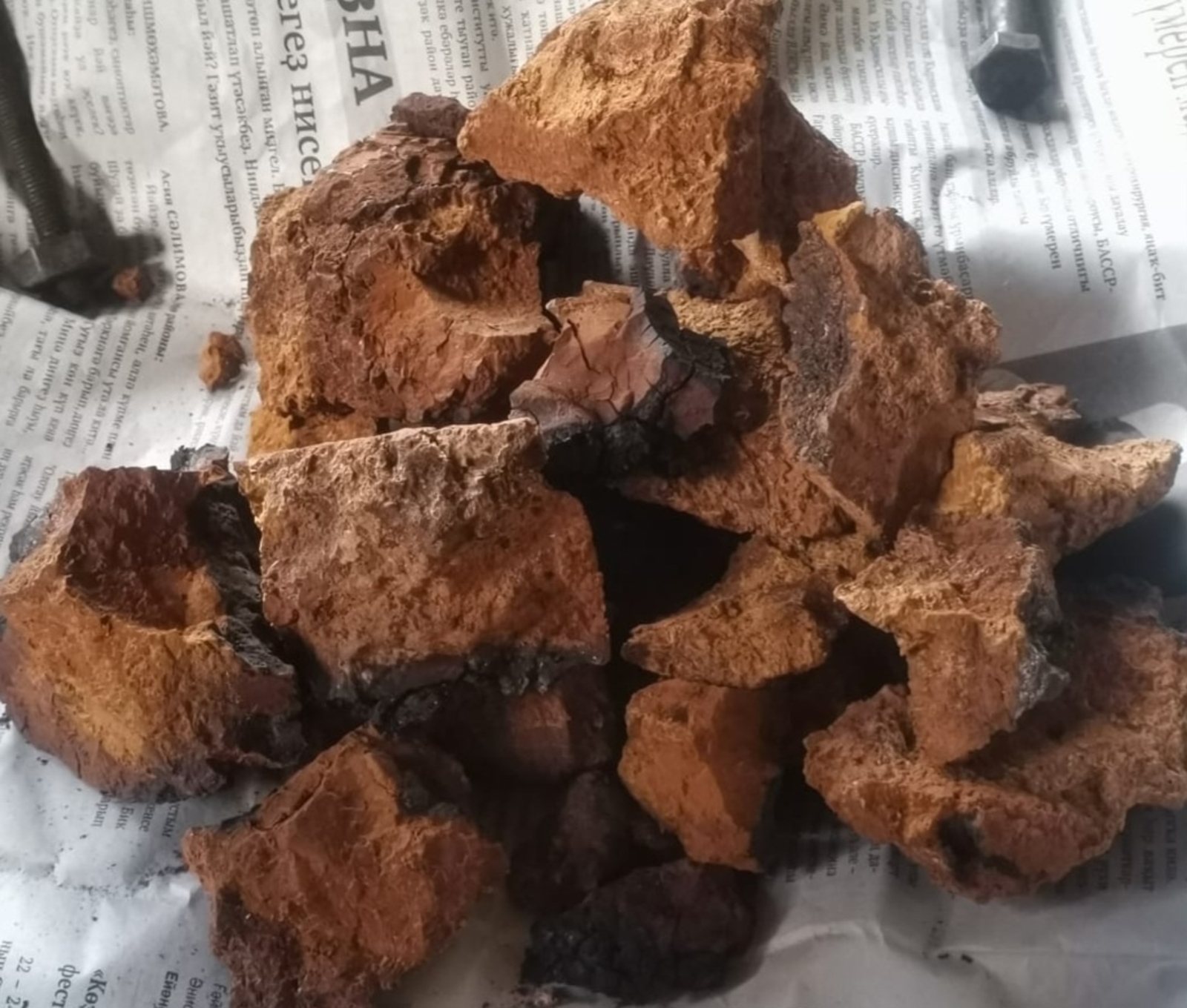 Чаганың ни тиклем шифалы булыуын беләһегеҙме?